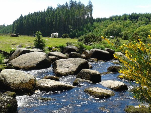 Natural Beauty: The Most Mesmerizing National Parks in Europe - Sputnik International