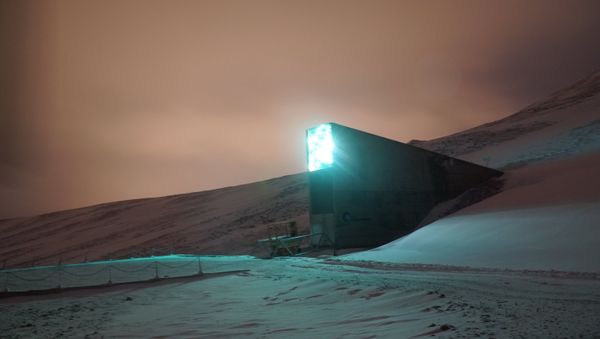 Global Seed Vault in Svalbard, Norway - Sputnik International
