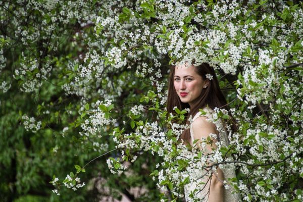 Apple Trees Start Blooming in Moscow - Sputnik International