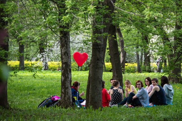 Apple Trees Start Blooming in Moscow - Sputnik International
