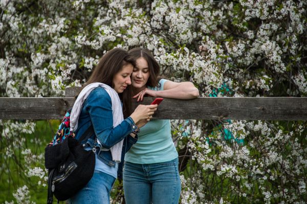Apple Trees Start Blooming in Moscow - Sputnik International