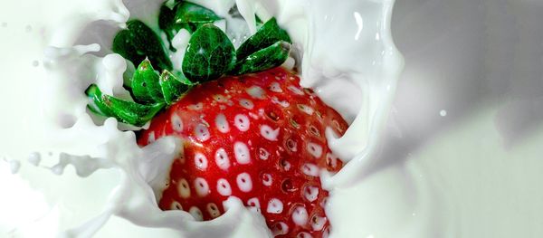 Strawberry - Sputnik International