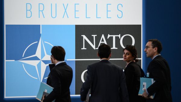 On the sidelines of the NATO summit in Brussels - Sputnik International