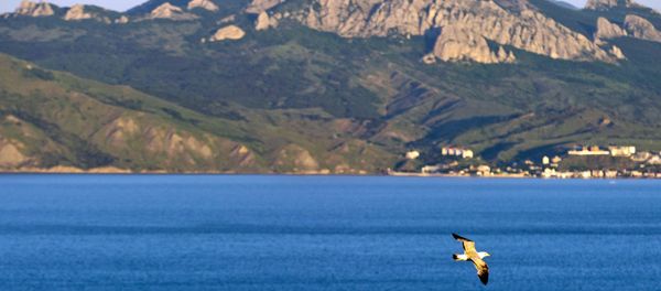Karadag nature reserve in Crimea Karadag nature reserve in Crimea - Sputnik International