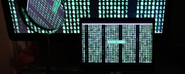Lines with digits on computer and laptop screens Lines with digits on computer and laptop screens - Sputnik International