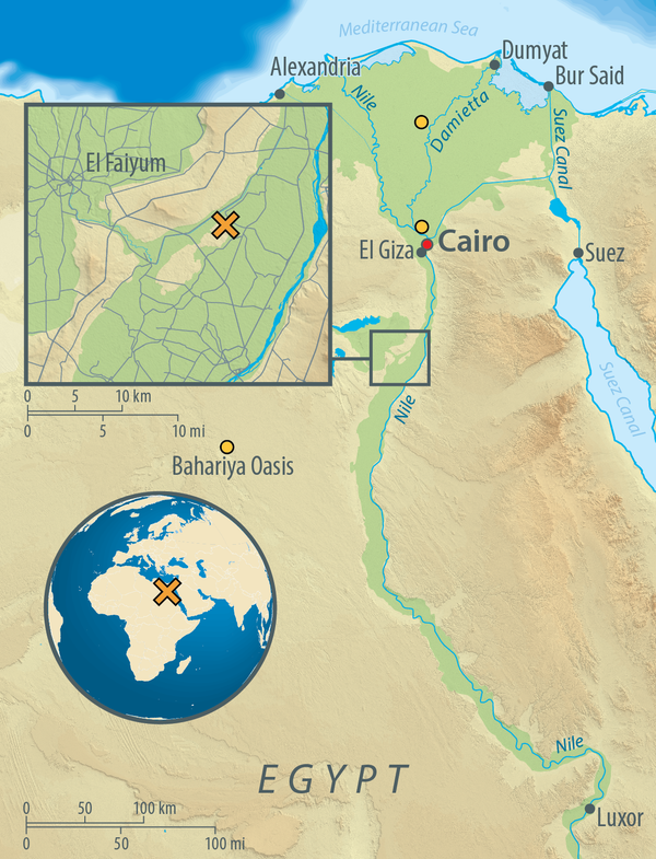 Map of Egypt, showing the archaeological site of Abusir-el Meleq (orange X), and the location of the modern Egyptian samples used in the study (orange circles). Map of Egypt, showing the archaeological site of Abusir-el Meleq (orange X), and the location of the modern Egyptian samples used in the study (orange circles). - Sputnik International