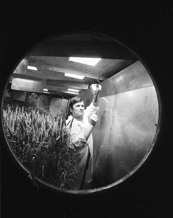 Five-month experiment at Bios-3 station, conducted by the Krasnoyarsk Institute of Biophysics, USSR Academy of Sciences, during which research in space biophysics was carried out Five-month experiment at Bios-3 station, conducted by the Krasnoyarsk Institute of Biophysics, USSR Academy of Sciences, during which research in space biophysics was carried out - Sputnik International