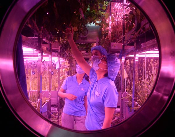 Student volunteers are seen inside the Lunar Palace 1, a laboratory simulating a lunar-like environment, in Beijing on May 10, 2017. Student volunteers are seen inside the Lunar Palace 1, a laboratory simulating a lunar-like environment, in Beijing on May 10, 2017. - Sputnik International