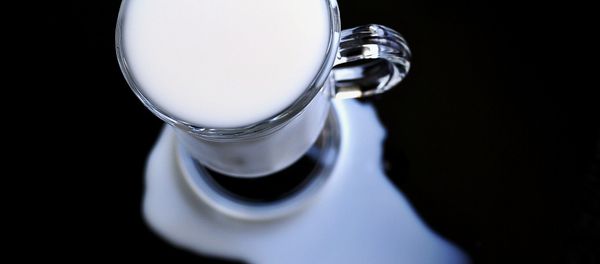 Milk - Sputnik International