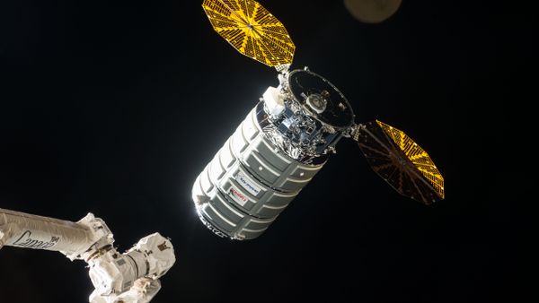 The Cygnus resupply ship - Sputnik International