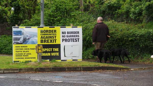A man walks his dogs across the border A man walks his dogs across the border - Sputnik International