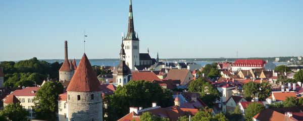 Tallinn - Sputnik International