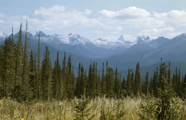 Yergaki range in the West Sayany mountain range, southern Siberia. (File) - Sputnik International