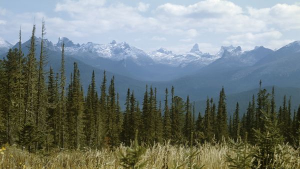 Yergaki range in the West Sayany mountain range, southern Siberia. (File) - Sputnik International