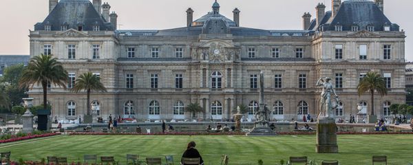 View of the French Senate (the Parliament's upper chamber) in Paris - Sputnik International