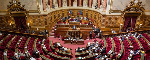The French Senate (the upper chamber of the Parliament) The French Senate (the upper chamber of the Parliament) - Sputnik International