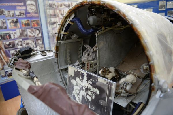Baikonur Cosmodrome Museum: The History of the First Earth Spaceport - Sputnik International