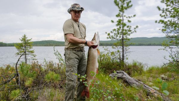 Russian President Vladimir Putin on a fishing trip in the Krasnoyarsk Territory, 20 July 2013 - Sputnik International