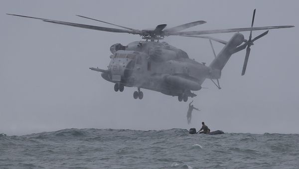 US Super Stallion US Super Stallion - Sputnik International