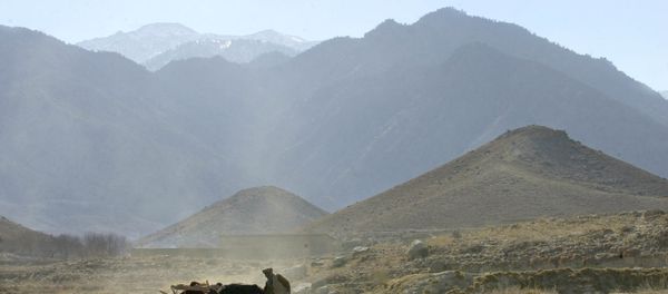 Afghanistan Daesh Afghanistan Daesh - Sputnik International