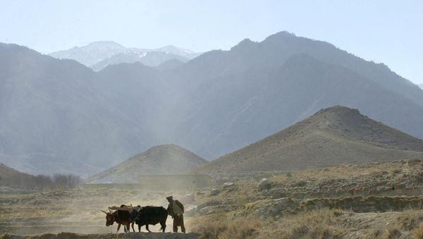 Afghanistan Daesh - Sputnik International