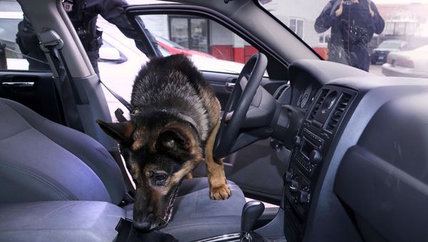 Police dog - Sputnik International