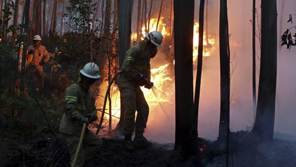 Firefighters of the Portuguese National Republican Guard work to stop a forest fire from reaching the village of Avelar, central Portugal, at sunrise Firefighters of the Portuguese National Republican Guard work to stop a forest fire from reaching the village of Avelar, central Portugal, at sunrise - Sputnik International