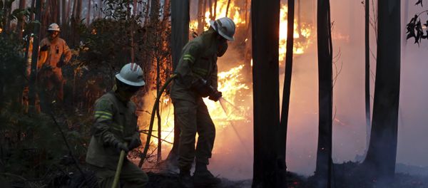 Firefighters of the Portuguese National Republican Guard work to stop a forest fire from reaching the village of Avelar, central Portugal, at sunrise - Sputnik International