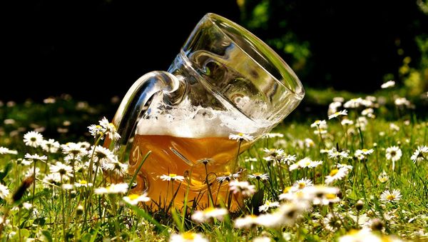 Beer - Sputnik International