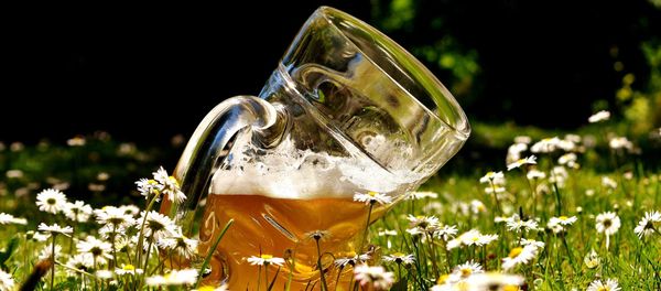Beer - Sputnik International