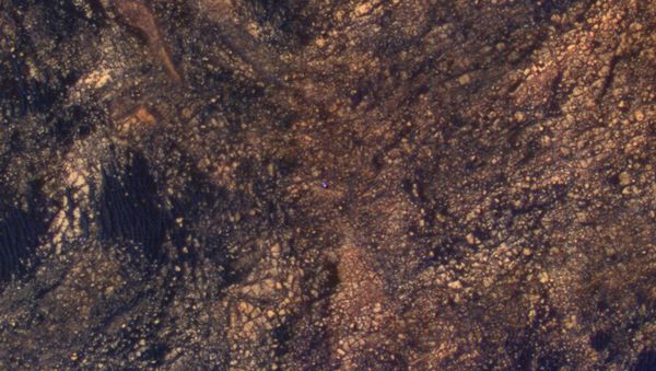 The feature that appears bright blue at the center of this scene is NASA's Curiosity Mars rover amid tan rocks and dark sand on Mount Sharp, as viewed by the HiRISE camera on NASA's Mars Reconnaissance Orbiter on June 5, 2017 - Sputnik International