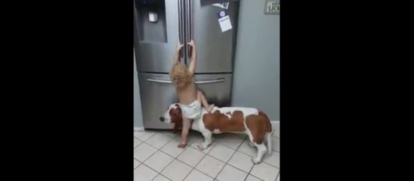 Child and dog Child and dog - Sputnik International