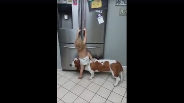 Child and dog - Sputnik International
