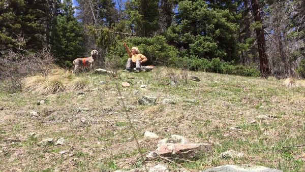 US Treasure hunter Cynthia Meachum and her dog Molly. - Sputnik International