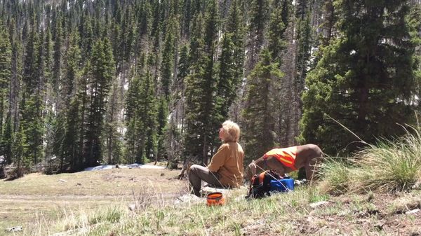 US treasure hunter Cynthia Meachum and her dog Molly. US treasure hunter Cynthia Meachum and her dog Molly. - Sputnik International