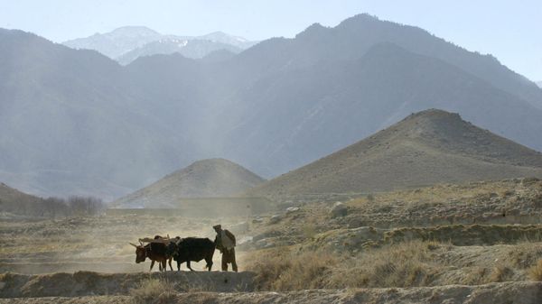 Village of Madakhel in northeastern Afghanistan, near the mountain region of Tora Bora. (File) Village of Madakhel in northeastern Afghanistan, near the mountain region of Tora Bora. (File) - Sputnik International