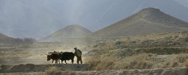 Village of Madakhel in northeastern Afghanistan, near the mountain region of Tora Bora. (File) Village of Madakhel in northeastern Afghanistan, near the mountain region of Tora Bora. (File) - Sputnik International