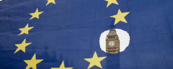This file photo taken on March 29, 2017 shows a pro-remain protester holds up an EU flag with one of the stars symbolically cut out in front of the Houses of Parliament shortly after British Prime Minister Theresa May announced to the House of Commons that Article 50 had been triggered in London on March 29, 2017. This file photo taken on March 29, 2017 shows a pro-remain protester holds up an EU flag with one of the stars symbolically cut out in front of the Houses of Parliament shortly after British Prime Minister Theresa May announced to the House of Commons that Article 50 had been triggered in London on March 29, 2017. - Sputnik International