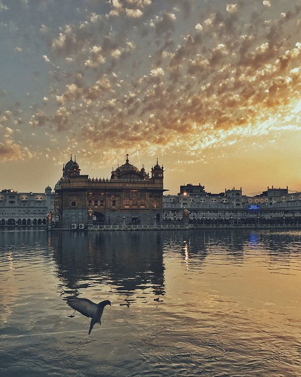 Winners of the 2017 iPhone Photography Awards Announced Winners of the 2017 iPhone Photography Awards Announced - Sputnik International