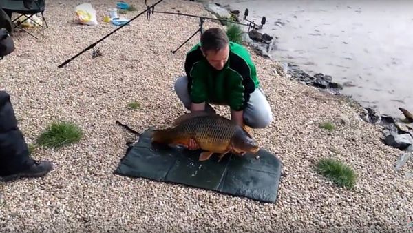 Carp Escapes From Fisherman - Sputnik International