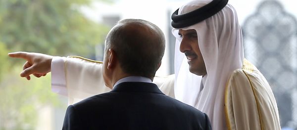 Emir of Qatar Sheikh Tamim bin Hamad Al-Thani, right, points as Turkey's President Recep Tayyip Erdogan looks on during a welcome ceremony in Doha, Qatar, Wednesday, Feb. 15, 2017 Emir of Qatar Sheikh Tamim bin Hamad Al-Thani, right, points as Turkey's President Recep Tayyip Erdogan looks on during a welcome ceremony in Doha, Qatar, Wednesday, Feb. 15, 2017 - Sputnik International