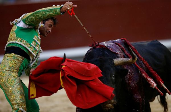 This Week in Pictures This Week in Pictures - Sputnik International