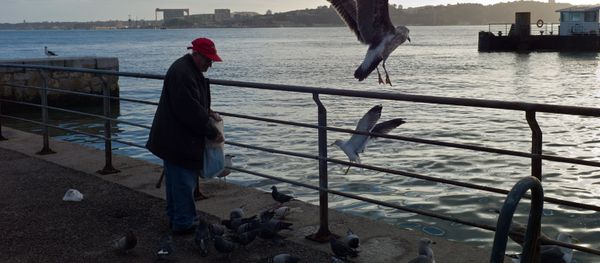 An elderly man feeds seagulls and pigeons by the Tagus river at the Cais do Sodre dock in Lisbon Tuesday, Jan. 12 2016 - Sputnik International