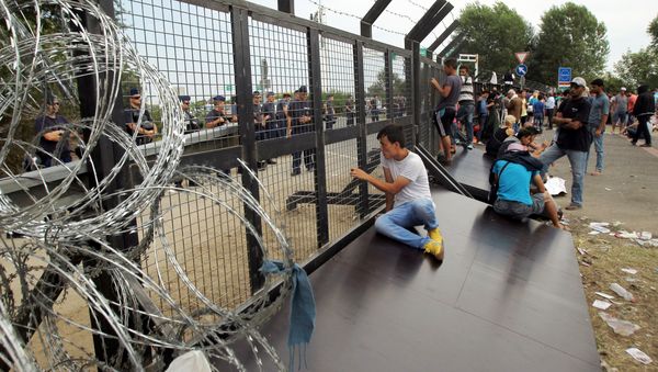 Refugees from the Middle East on the Serbian-Hungarian border. File photo Refugees from the Middle East on the Serbian-Hungarian border. File photo - Sputnik International