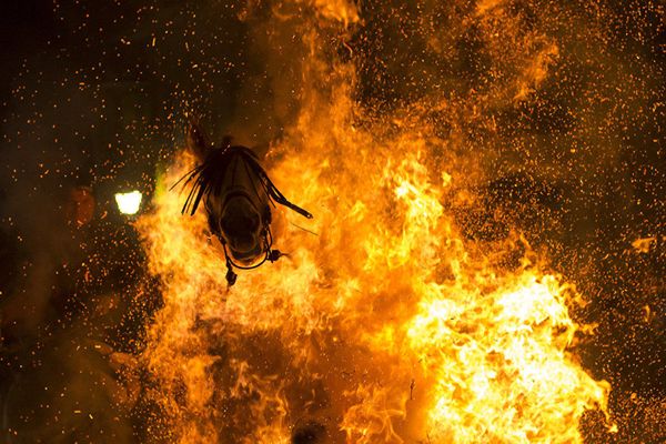 My Planet: Incredible Images From Around the World for the Stenin Int'l Photo Contest - Sputnik International