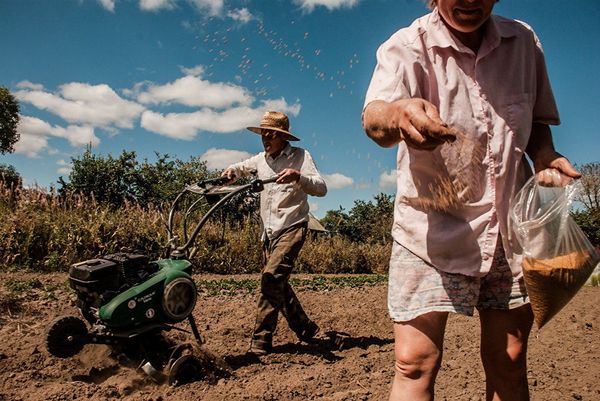 My Planet: Incredible Images From Around the World for the Stenin Int'l Photo Contest - Sputnik International