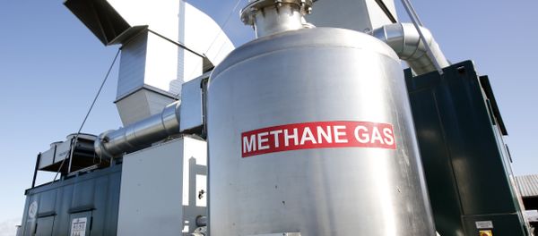 Methane digester at the New Hope Dairy in Galt, Calif. (File) - Sputnik International