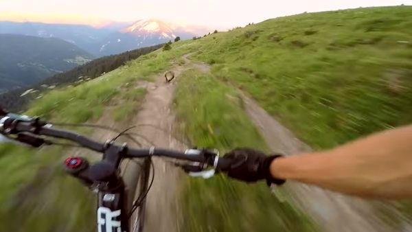 Groundhog Surprises Unsuspecting Cyclist - Sputnik International