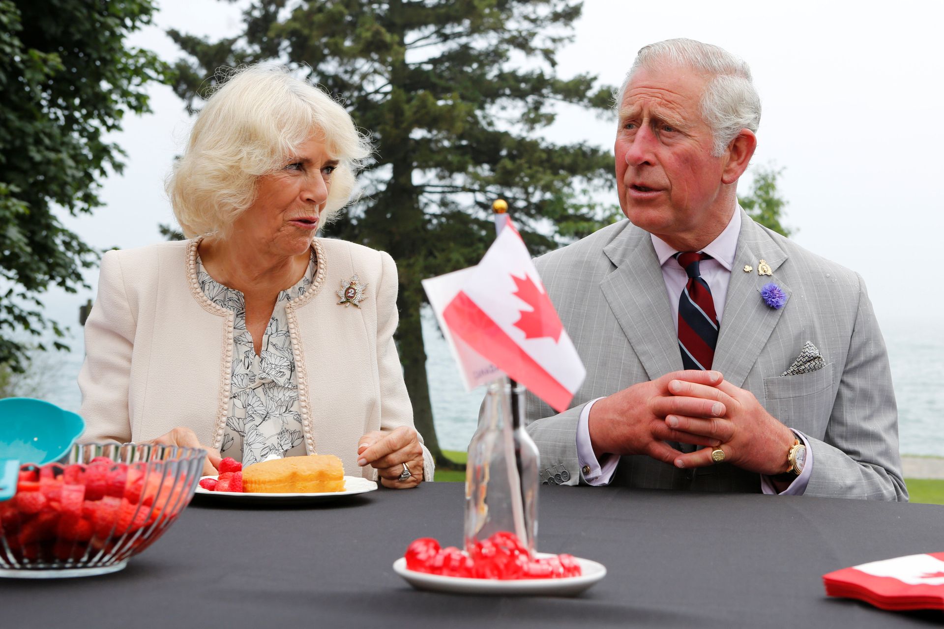  Prince Charles & Camilla’s Aussie ‘Love Child’ Wannabe Shares Viral Pic To Boost His Claim - Sputnik International, 1920, 23.04.2021