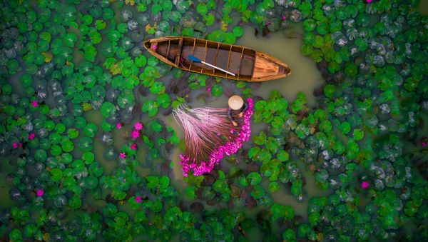 Hey Down There! Highlights of the International Drone Photography Contest 2017 - Sputnik International